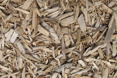 biomass boilers Grunasound